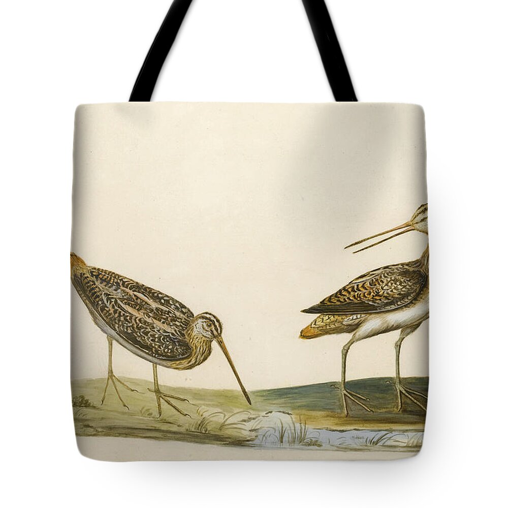 Peter Paillou Tote Bag featuring the drawing Two Snipe by Peter Paillou