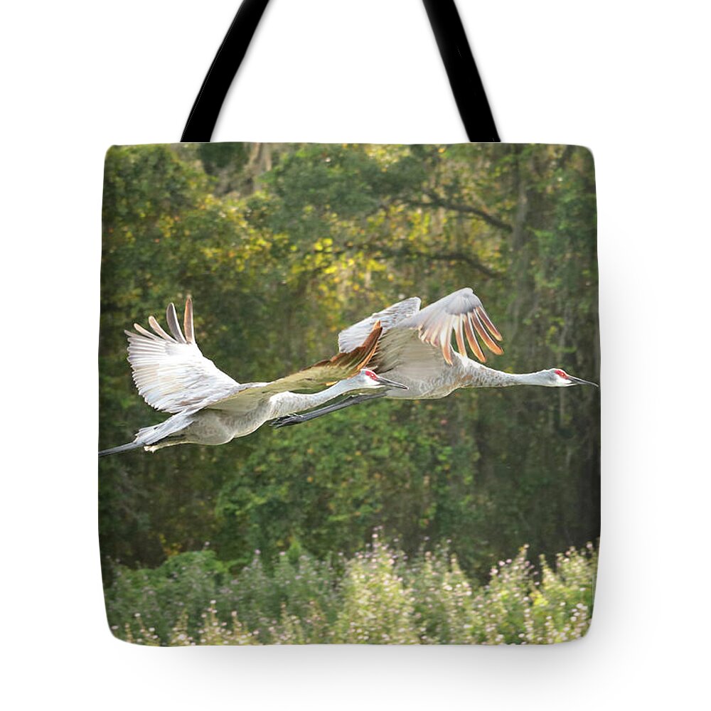 Sandhill Crane Tote Bag featuring the photograph Two Soaring Sandhill Cranes by Carol Groenen