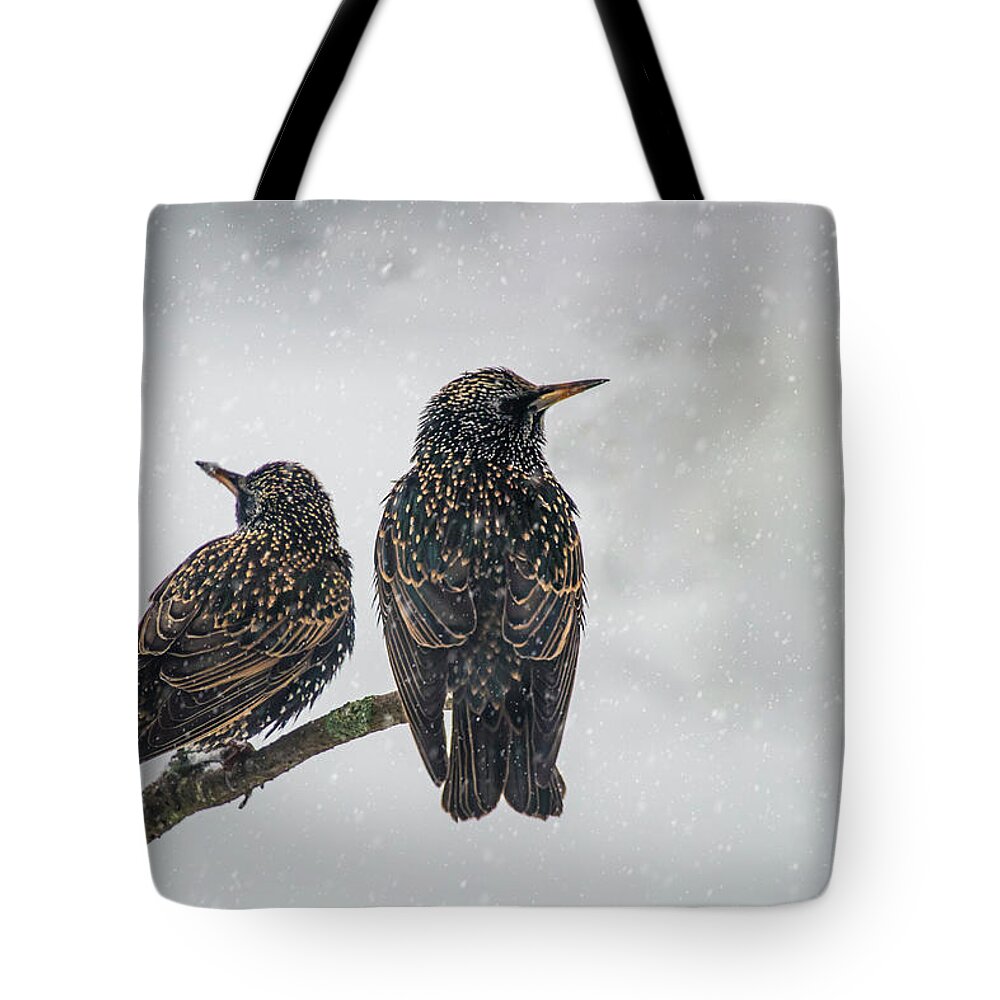 Birds Tote Bag featuring the photograph Two Starlings by Cathy Kovarik