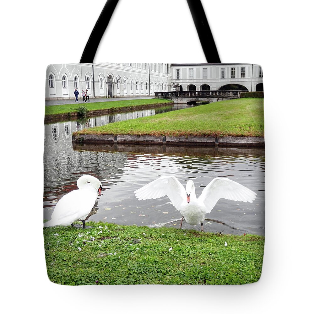 Swan Tote Bag featuring the photograph Two Swans by Pema Hou