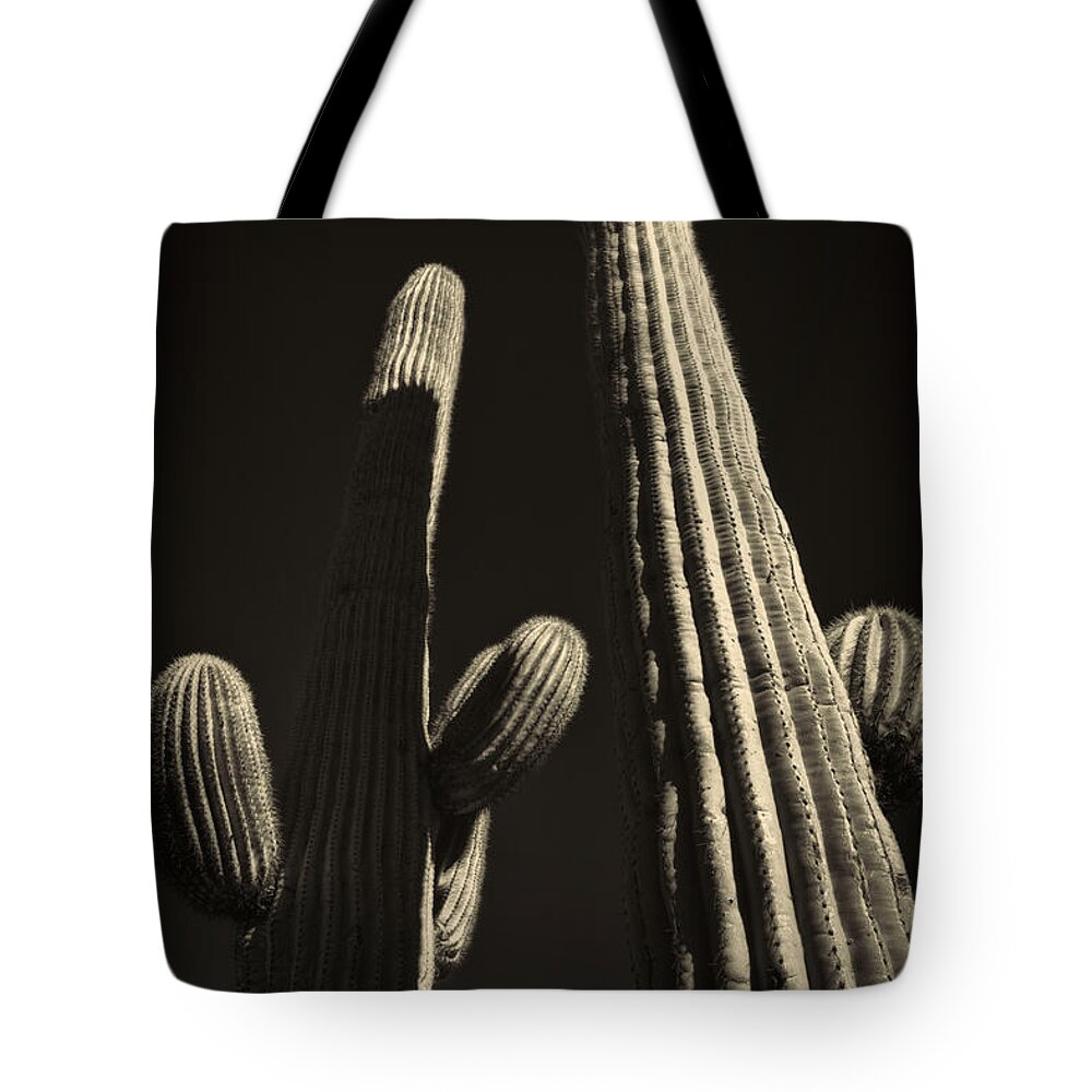 Arizona Tote Bag featuring the photograph Two Tall Saguaros by Roger Passman