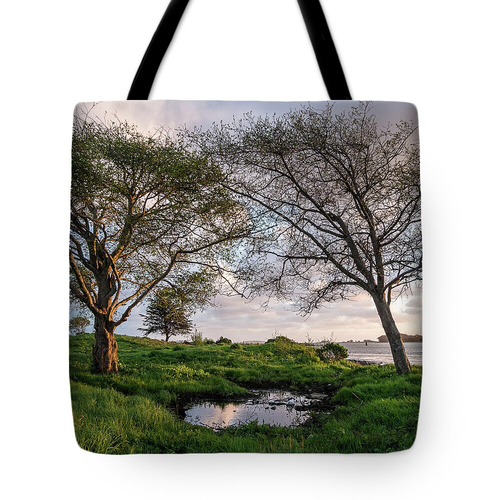 Humboldt Bay Tote Bag featuring the photograph Two Trees and a Puddle by Greg Nyquist