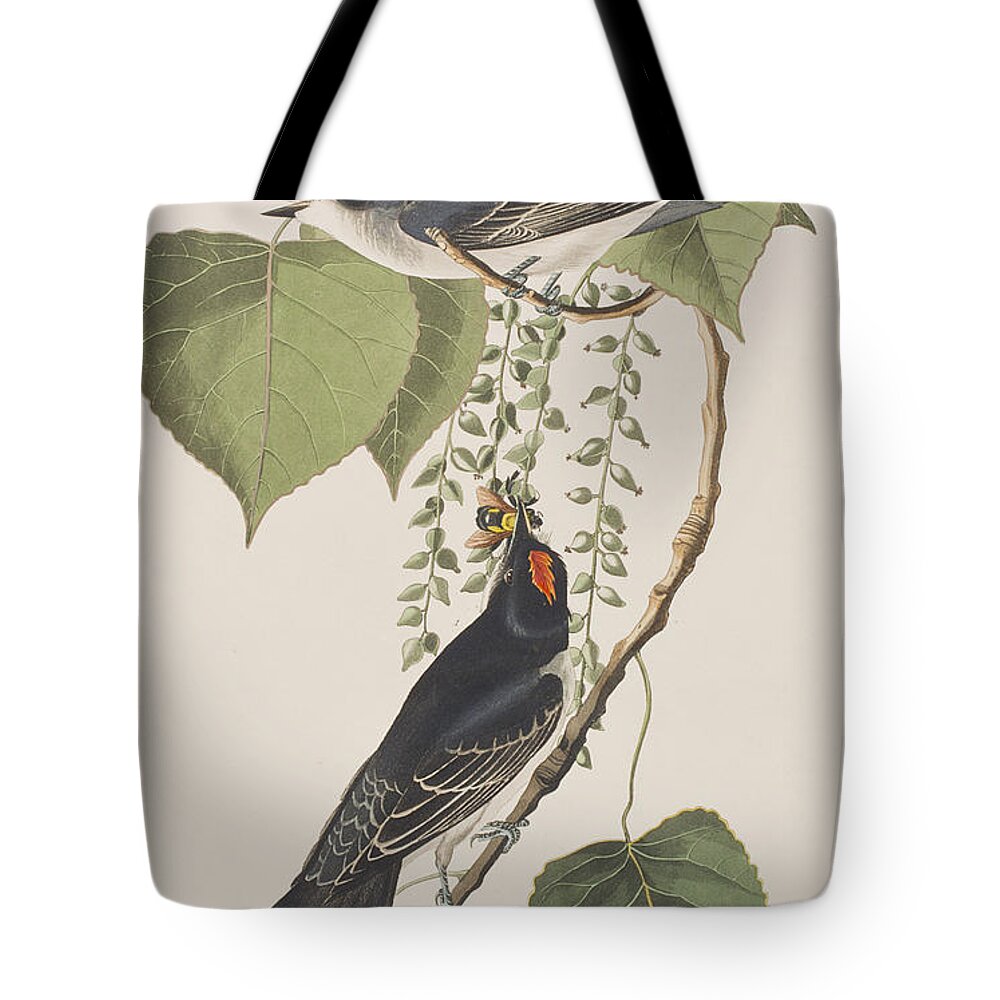 Tyrant Flycatcher Tote Bags