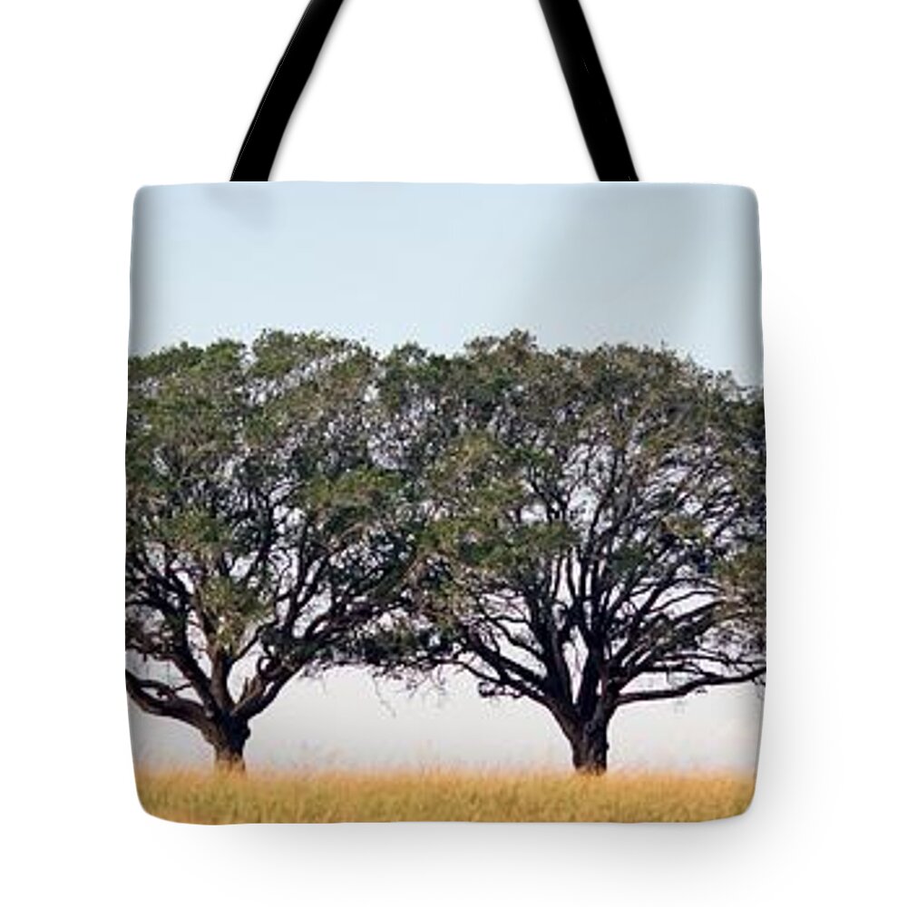 Texas Tote Bag featuring the photograph US Route 90 by Kerry Beverly