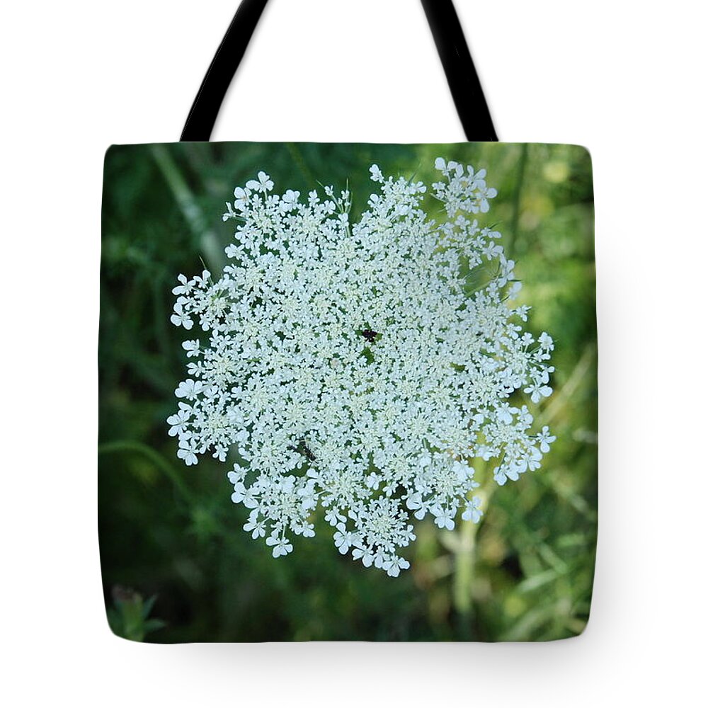 Small White Flower Clusters Tote Bag featuring the photograph Umbel Flower 2 by Ee Photography