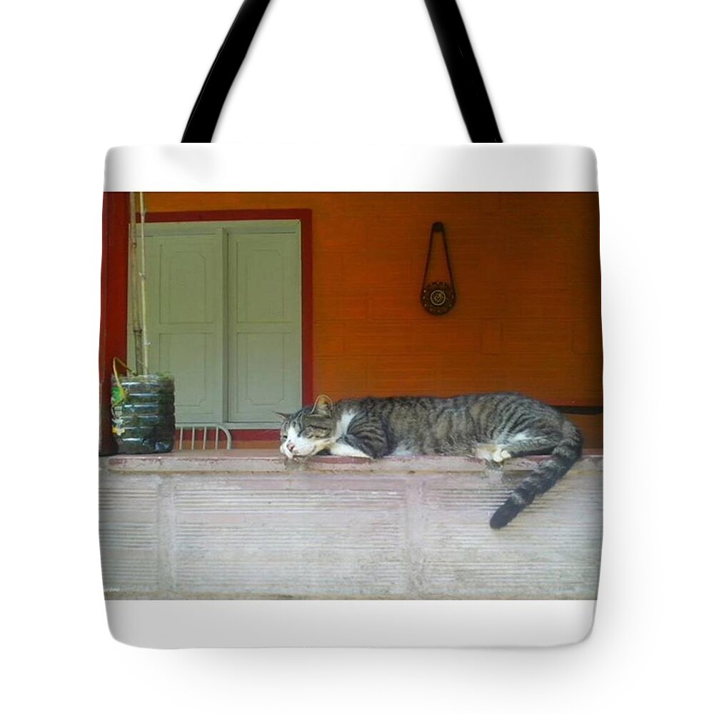 Colors Tote Bag featuring the photograph Under Hours
from
the Big by David Cardona