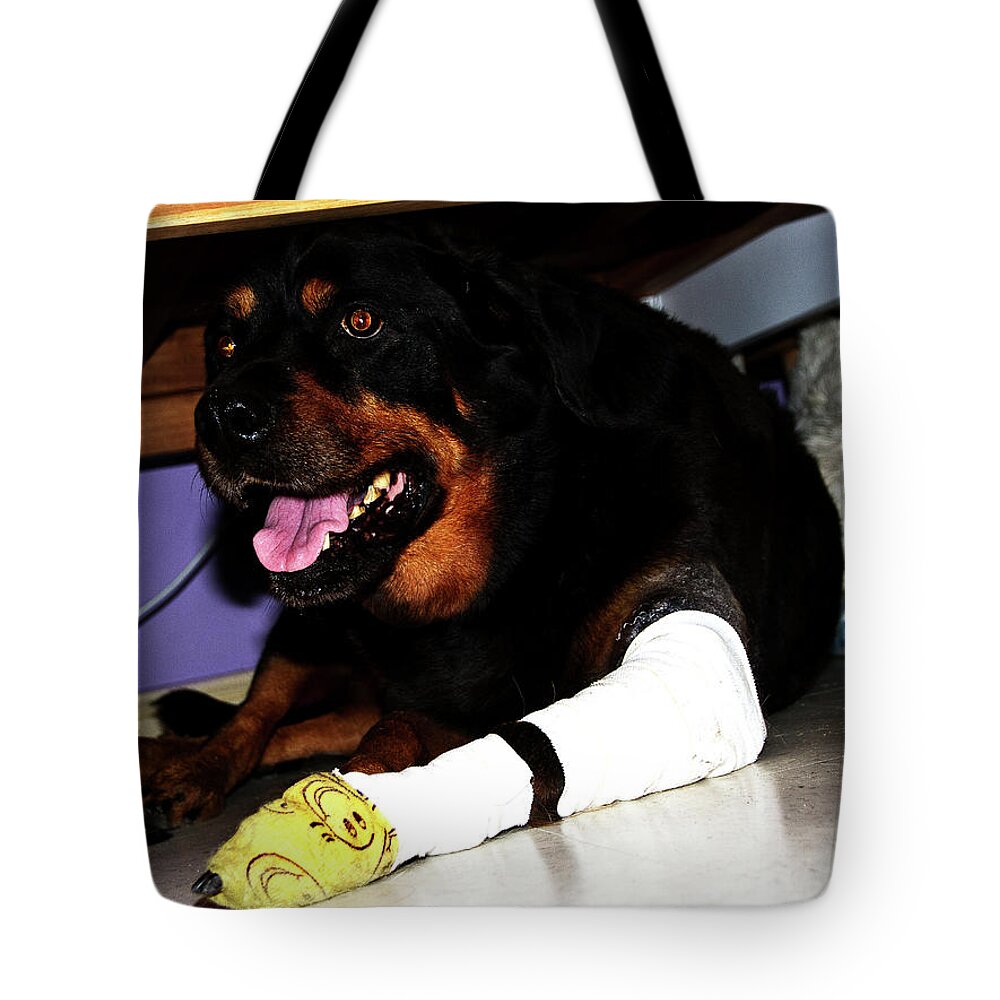 Rottweiler Tote Bag featuring the photograph Under The Bed by Miroslava Jurcik