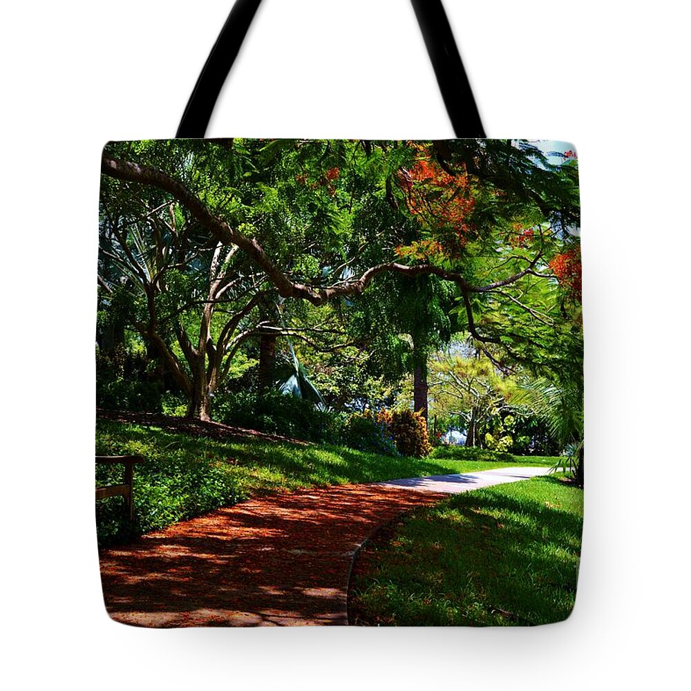 Poinciana Tree Tote Bag featuring the photograph Under the Poinciana Tree by Julie Adair