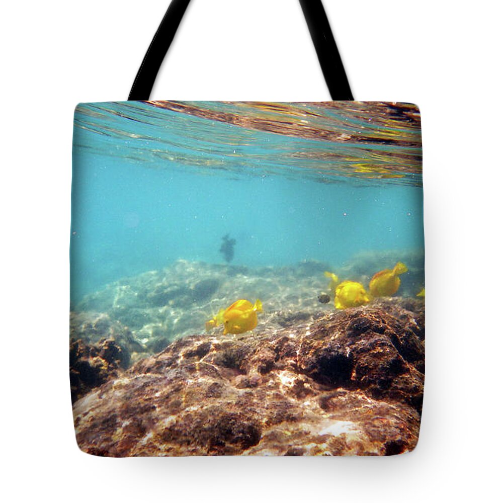 Underwater Tote Bag featuring the photograph Under the Sea by Karen Nicholson