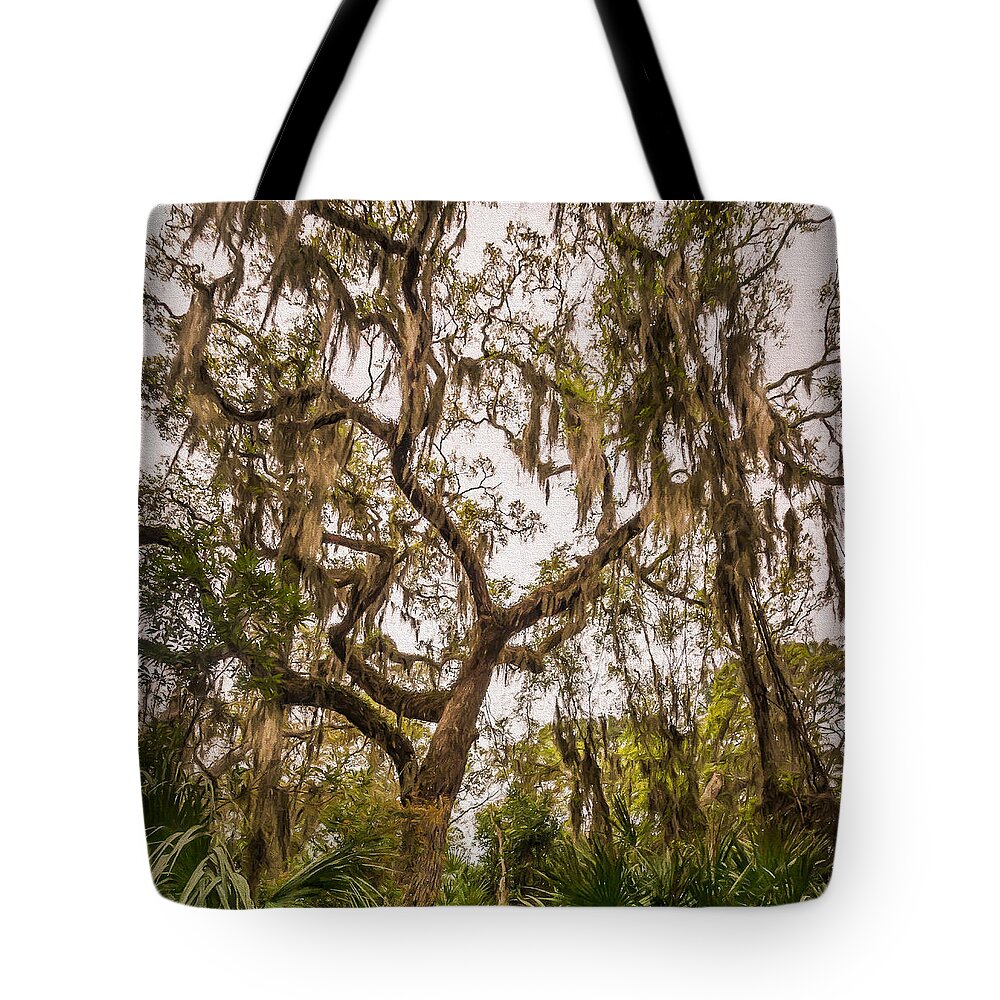 Landscape Tote Bag featuring the photograph Under the shade of a live oak - artistic by Chris Bordeleau