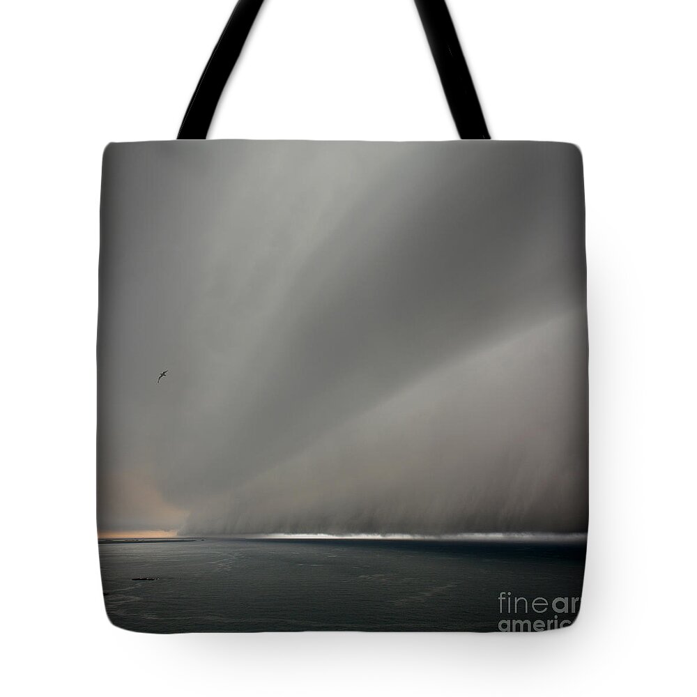 Photography By Paul Davenport Tote Bag featuring the photograph Under the weather with fleeing gull by Paul Davenport