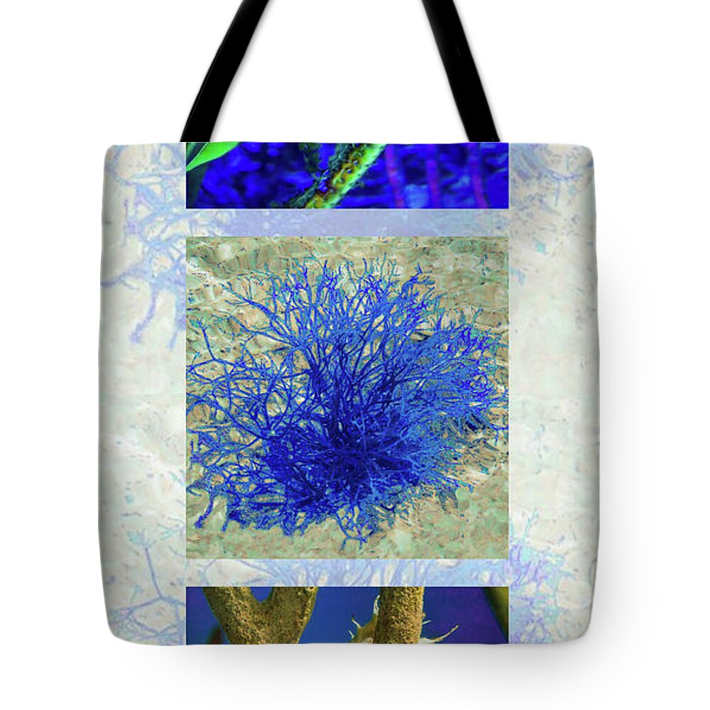 Susan Molnar Tote Bag featuring the photograph Undersea Triptych by Susan Molnar