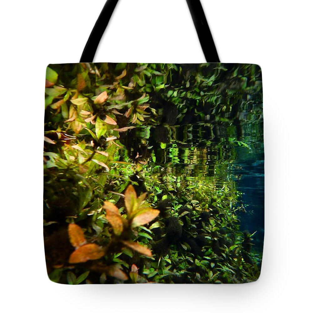 Underwater Print Tote Bag featuring the photograph Underwater Garden by Sheri McLeroy
