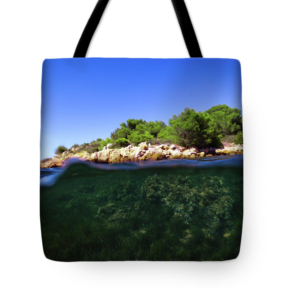 Underwater Tote Bag featuring the photograph Underwater Life by Gemma Silvestre