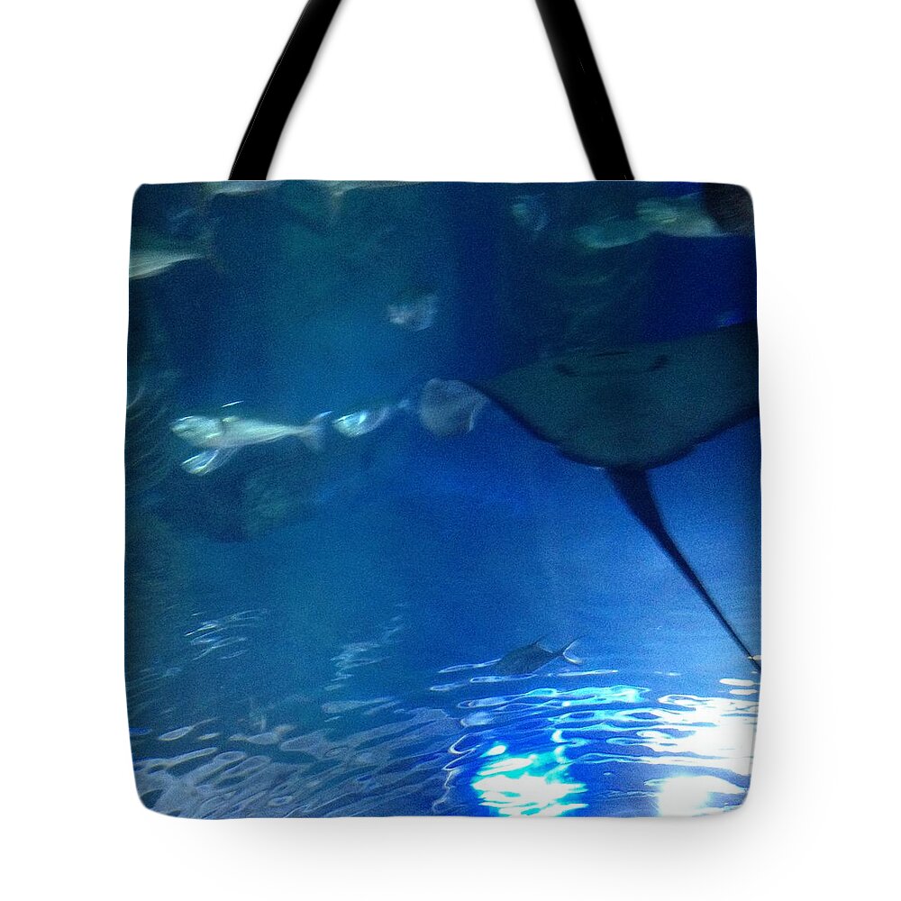 Blue Waters Tote Bag featuring the photograph Underwater Sea Life by Susan Grunin