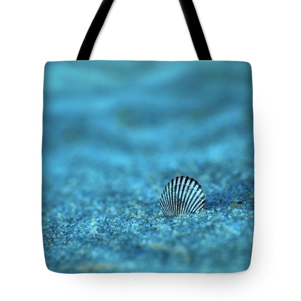 Seashells Tote Bag featuring the photograph Underwater Seashell - Jersey Shore by Angie Tirado