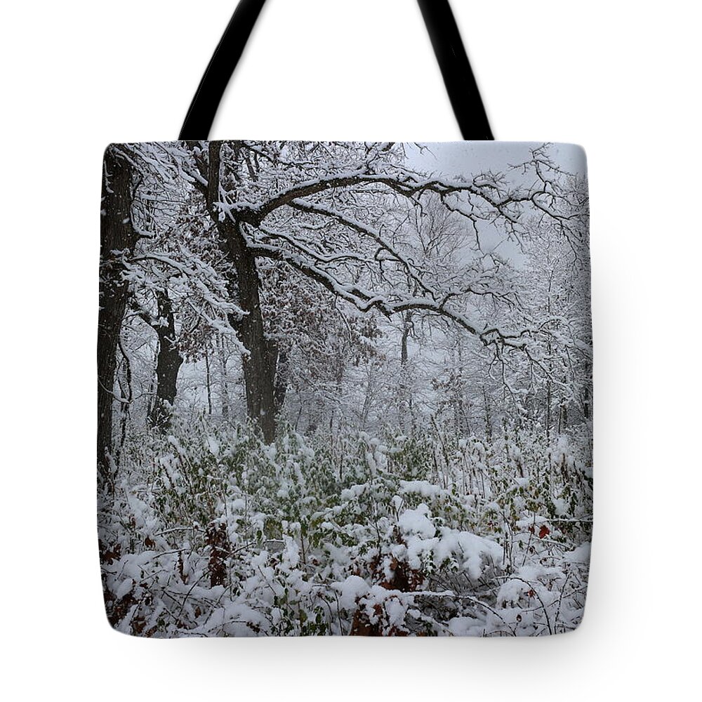 Autumn Snow Tote Bag featuring the photograph Unexpected Snow by Scott Kingery