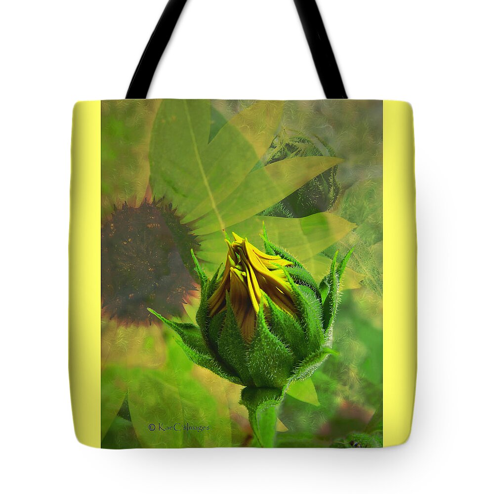 Sunflower Tote Bag featuring the digital art Unfolding Sunflower by Kae Cheatham