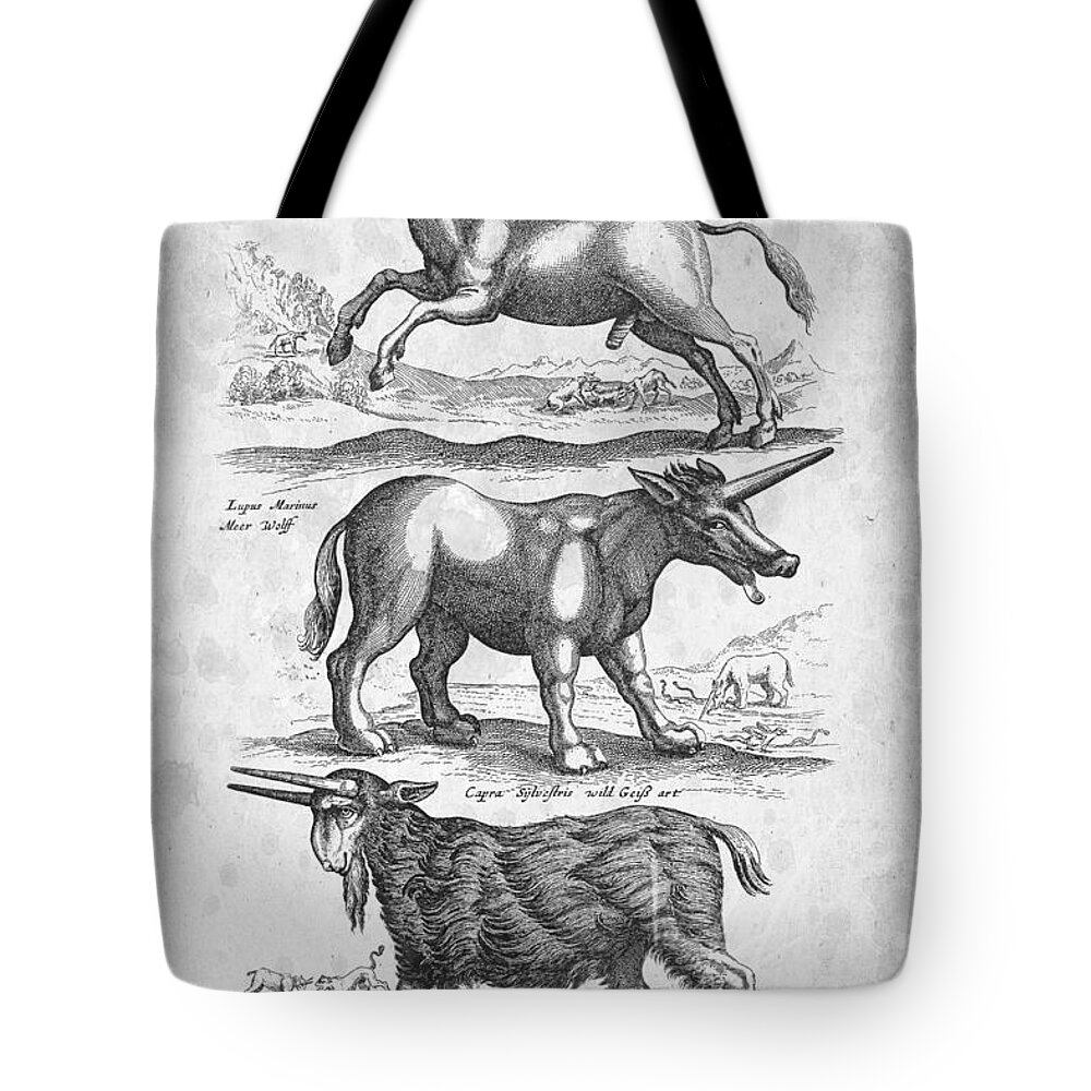 Unicorn Tote Bag featuring the digital art Unicorns Historiae Naturalis 1657 by Aged Pixel