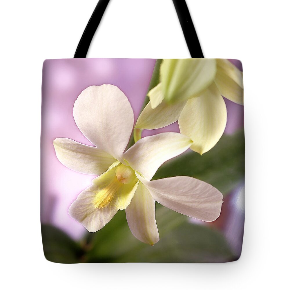 White Flower Tote Bag featuring the photograph Unique White Orchid by Mike McGlothlen