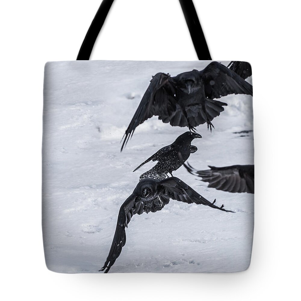 Ravens Tote Bag featuring the photograph Unkindness by David Kirby