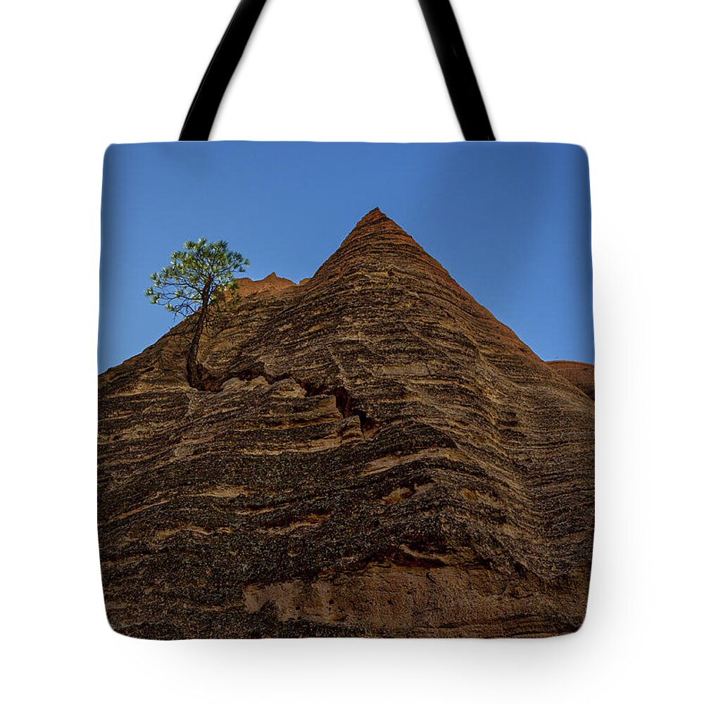 New Mexico Tote Bag featuring the photograph Unlikely Tree - Tent Rocks by Stuart Litoff
