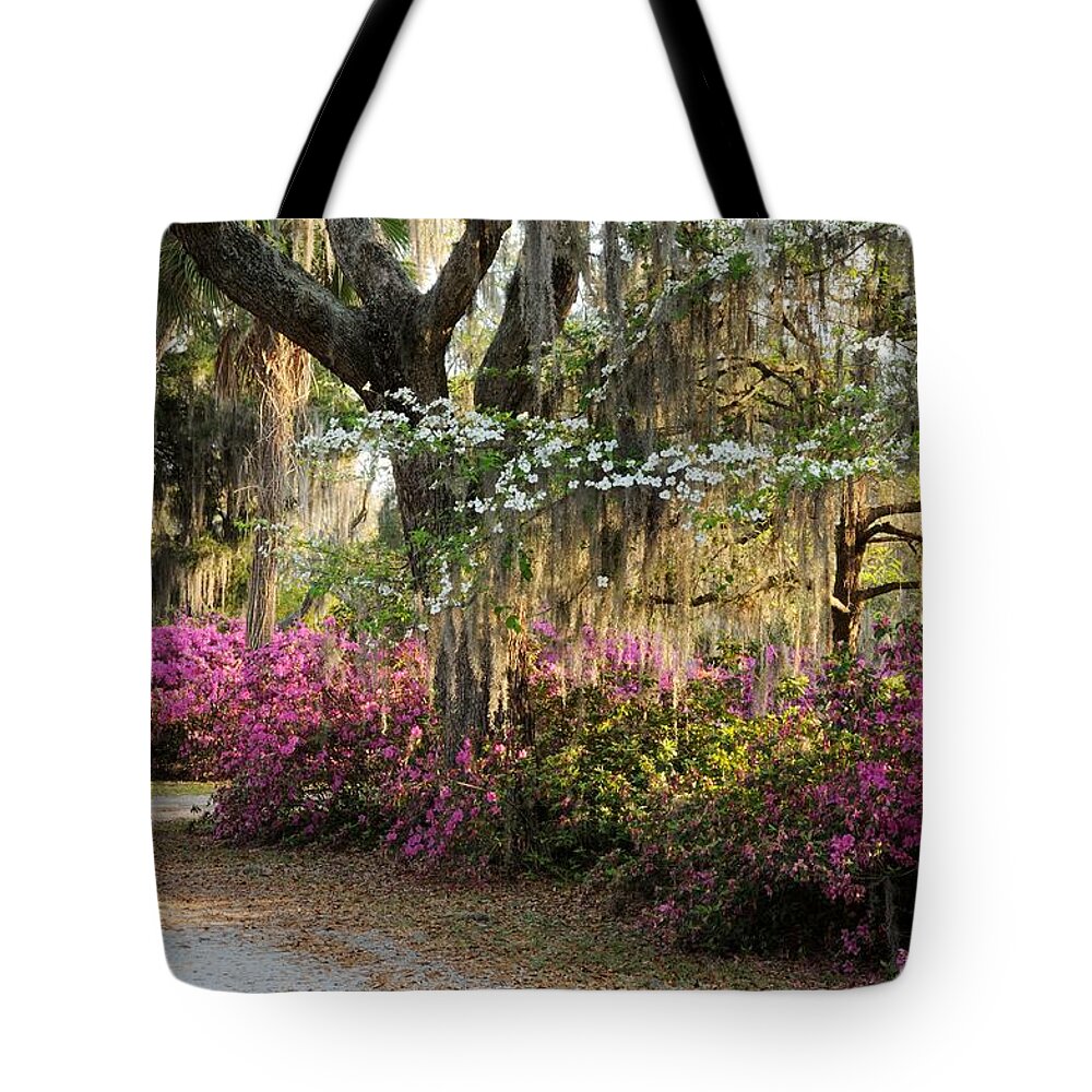 Spring Tote Bag featuring the photograph Unpaved road in Spring by Bradford Martin