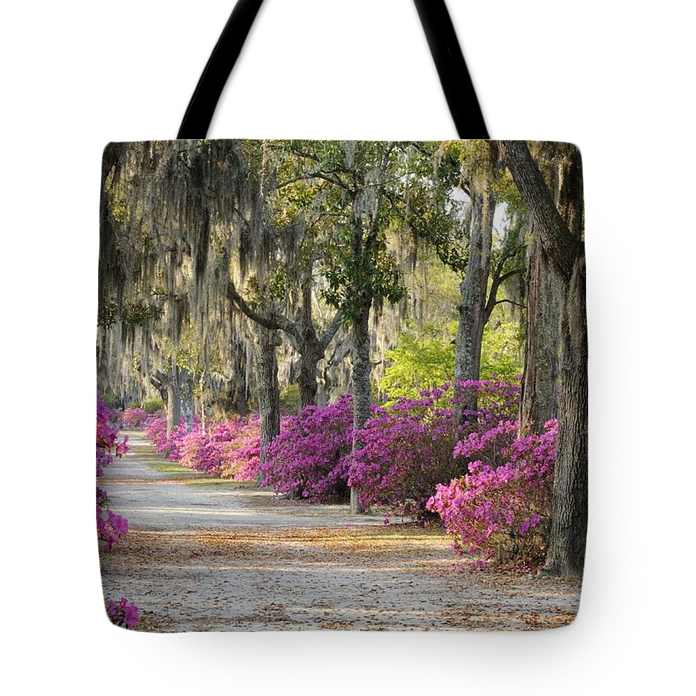 Road Tote Bag featuring the photograph Unpaved road with Azaleas and Oaks by Bradford Martin