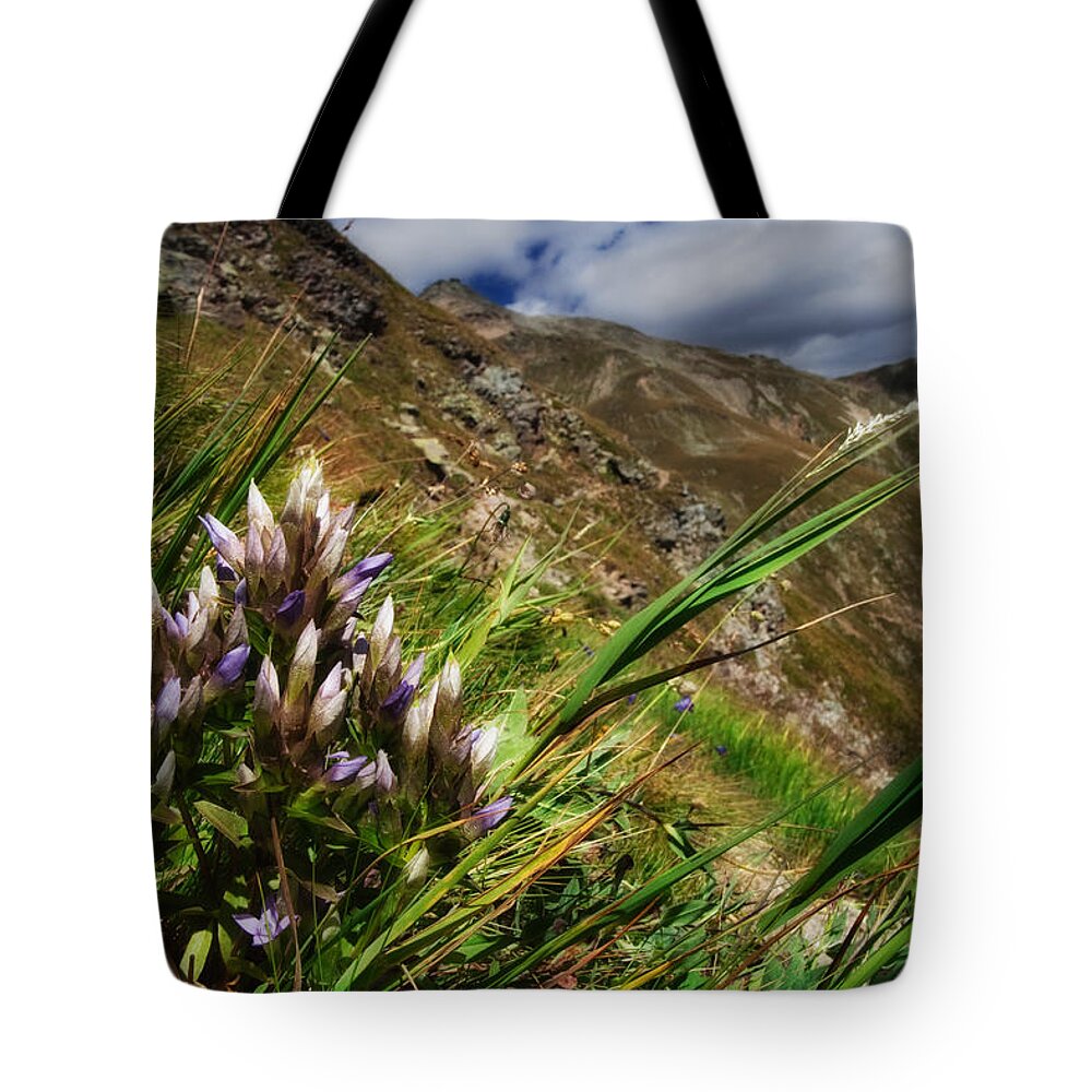Environment Tote Bag featuring the photograph Untitled 94 by Roberto Pagani