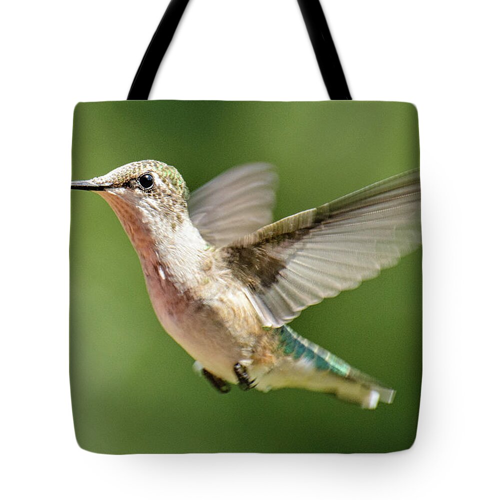 Hummingbird Tote Bag featuring the photograph Untitled Hum_bird_two by Paul Vitko