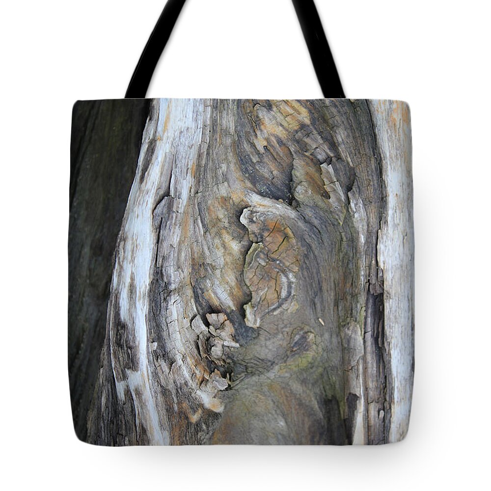 Tidal Tote Bag featuring the photograph Untitled V - Tidal Wood by Annekathrin Hansen