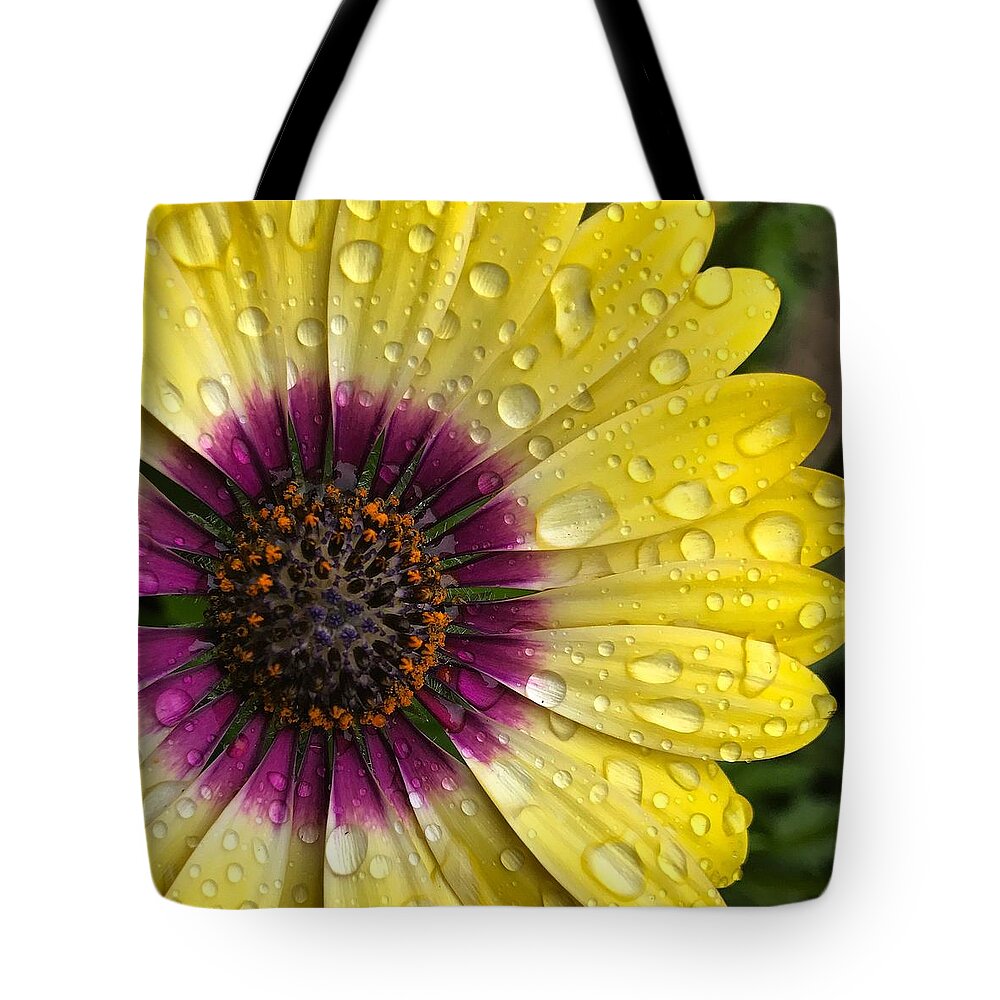 Drops Tote Bag featuring the photograph Daisy Up Close by Brian Eberly