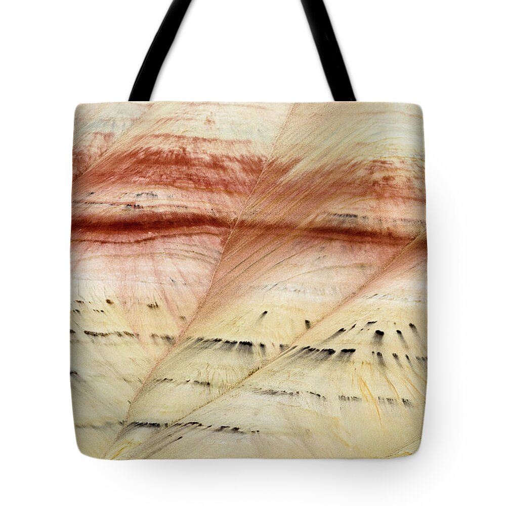 Painted Hills Tote Bag featuring the photograph Up Close Painted Hills by Greg Nyquist