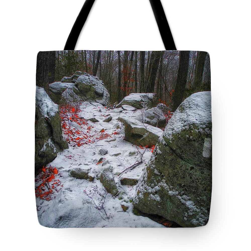 Up Moneyhole Mountain Tote Bag featuring the photograph Up Moneyhole Mountain by Raymond Salani III