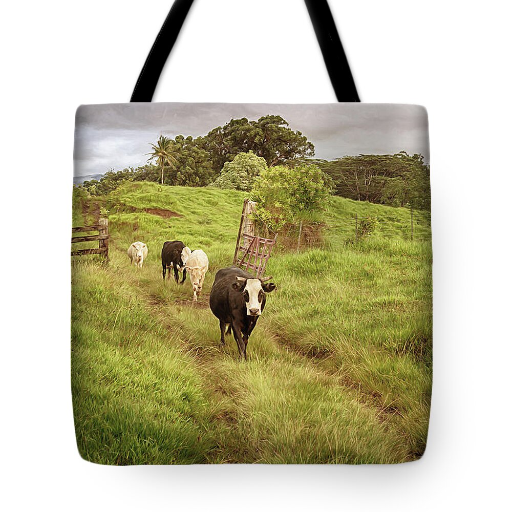 Cows Tote Bag featuring the photograph Upcountry Ranch by Susan Rissi Tregoning