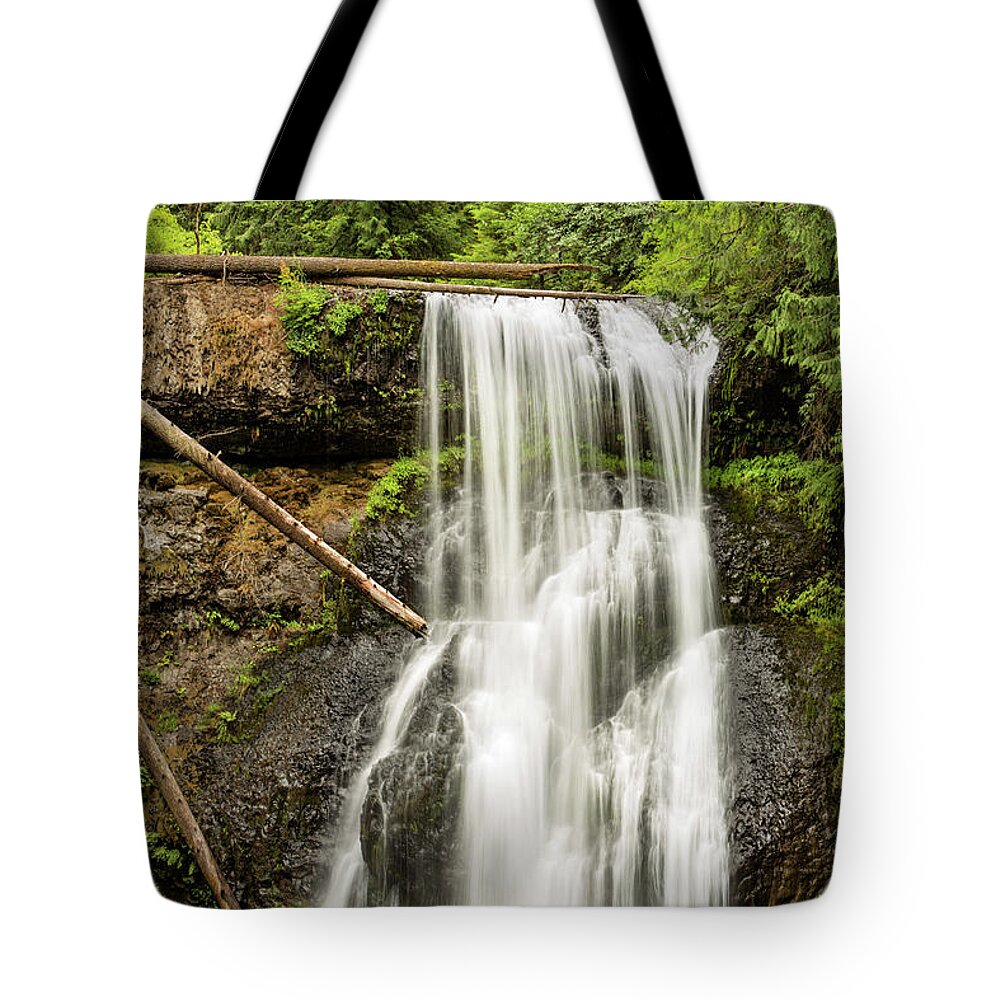 Silver Creek Falls Tote Bag featuring the photograph Upper North Silver Falls Vertical by Mary Jo Allen