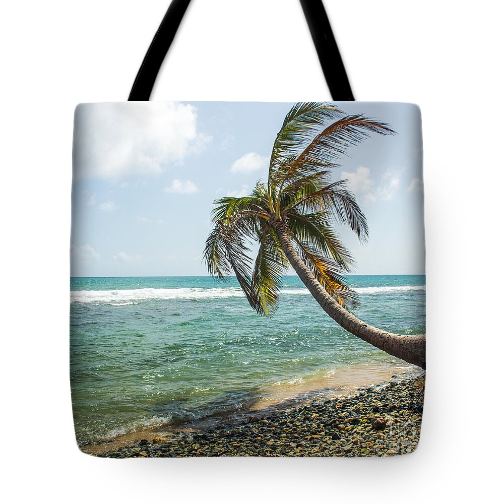 Coconut Tree Tote Bag featuring the photograph Uprooted 2 by Cheryl Del Toro