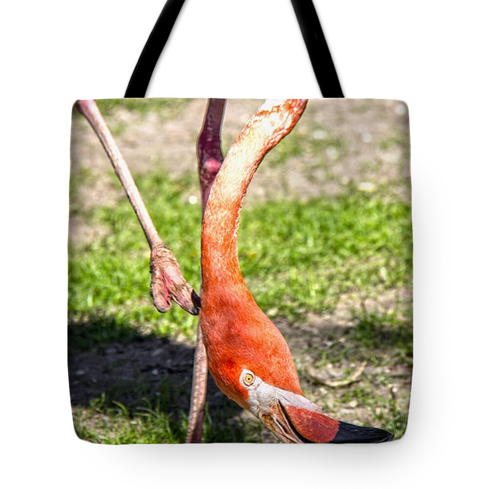Nature Tote Bag featuring the photograph Upside Down Flamingo by Tom Gari Gallery-Three-Photography