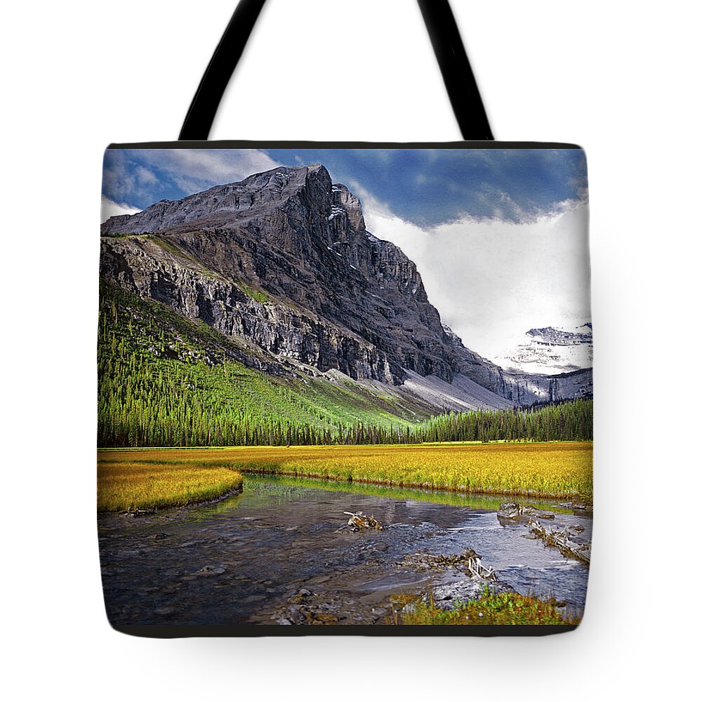 The Walkers Tote Bag featuring the photograph User Friendly by The Walkers