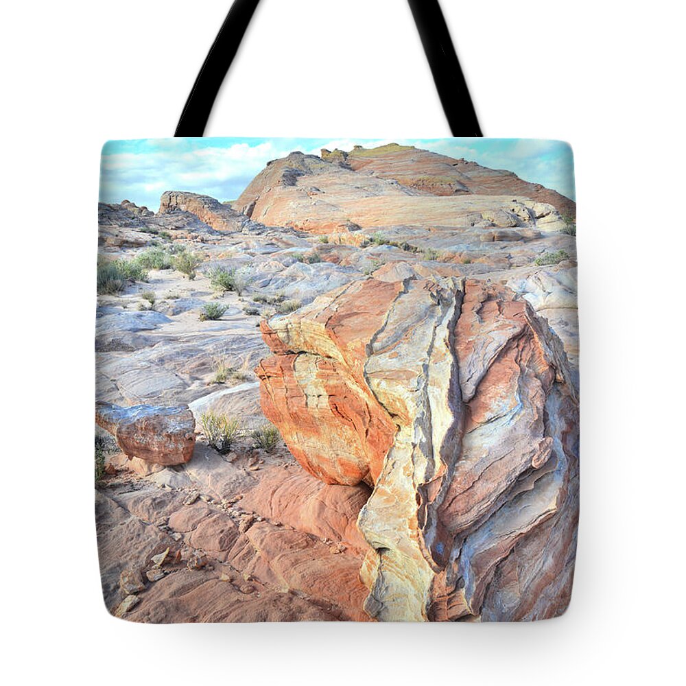Valley Of Fire State Park Tote Bag featuring the photograph Valley of Fire Alien Boulder by Ray Mathis