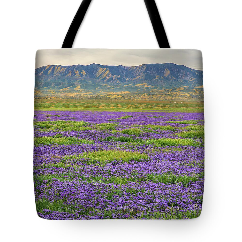 California Tote Bag featuring the photograph Valley Phacelia and Caliente Range by Marc Crumpler