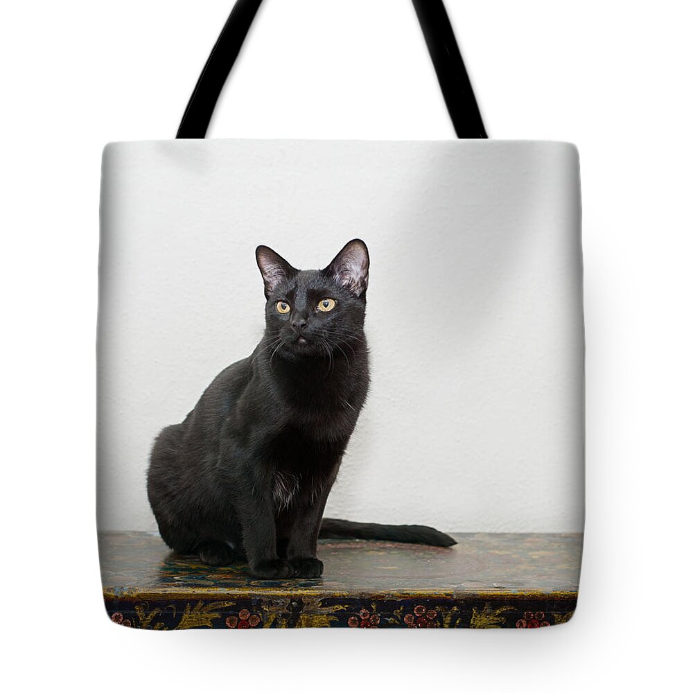 Black Cat Tote Bag featuring the photograph Velvet by Irina ArchAngelSkaya