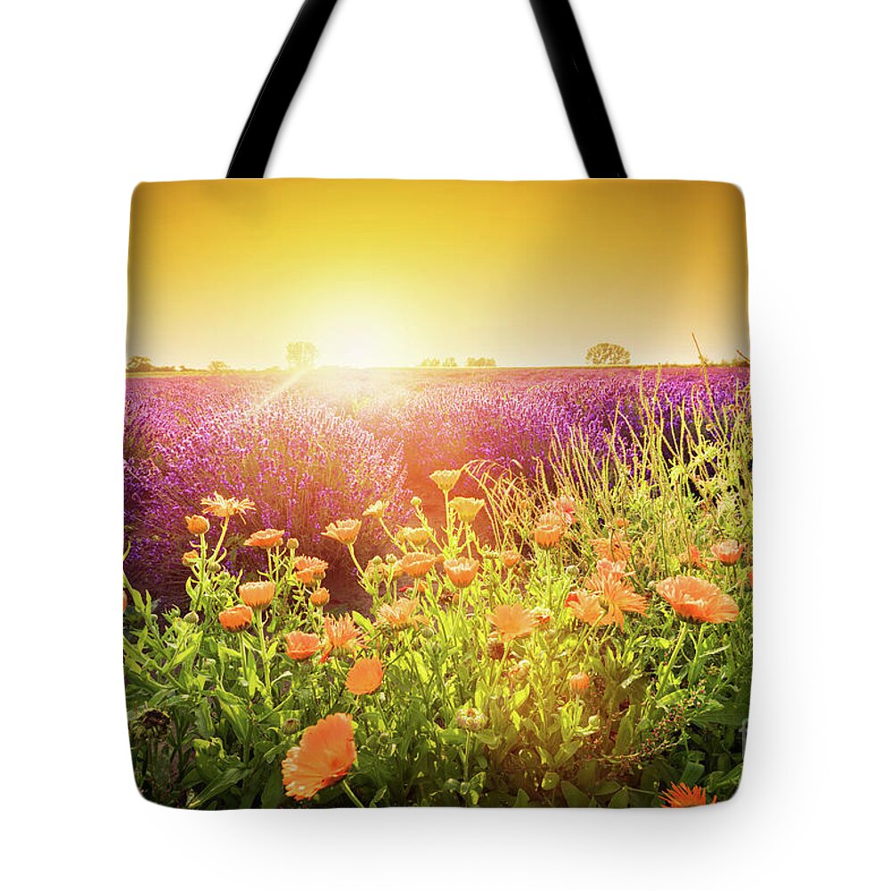 Lavender Tote Bag featuring the photograph vender flower field landscape at sunset. Summer by Michal Bednarek