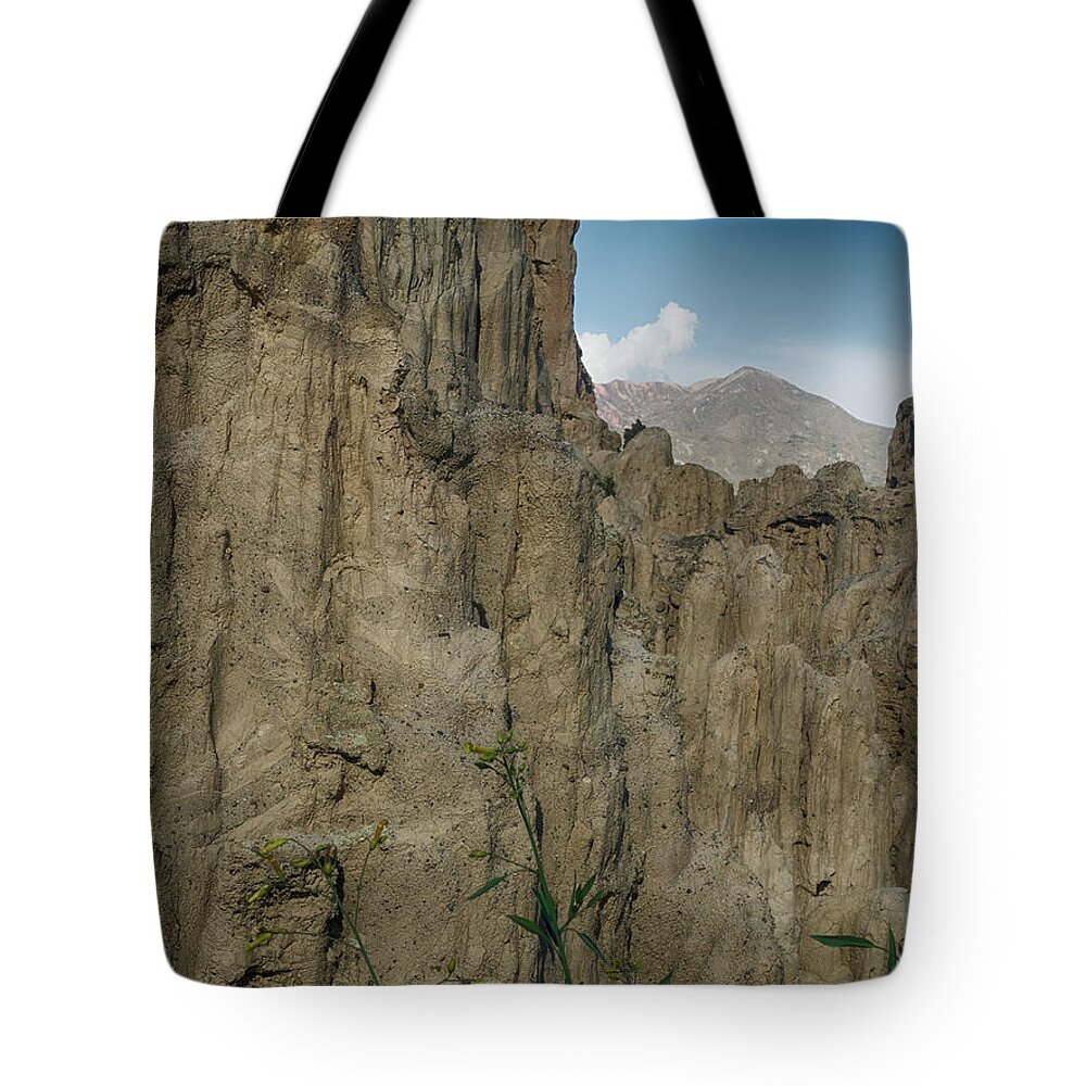 Summoning The Spirits Tote Bag featuring the photograph Ventana Andina by Jessica Levant