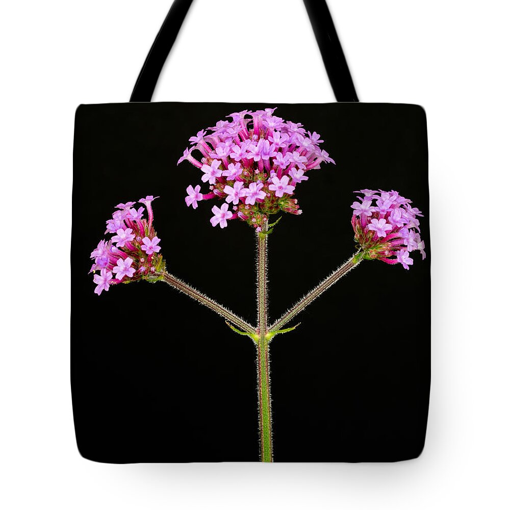 Pink Tote Bag featuring the photograph Verbena by Mark Llewellyn