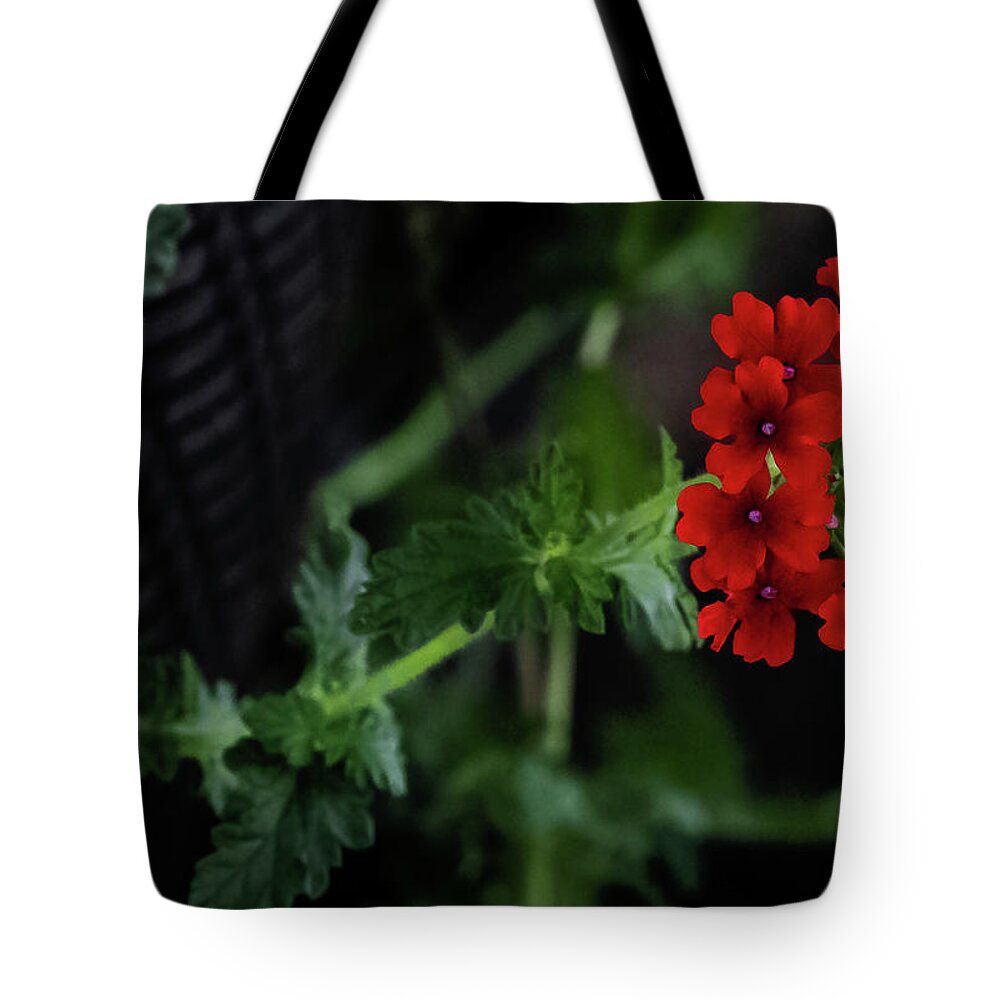Flower Tote Bag featuring the digital art Verbena peruviana by Ed Stines