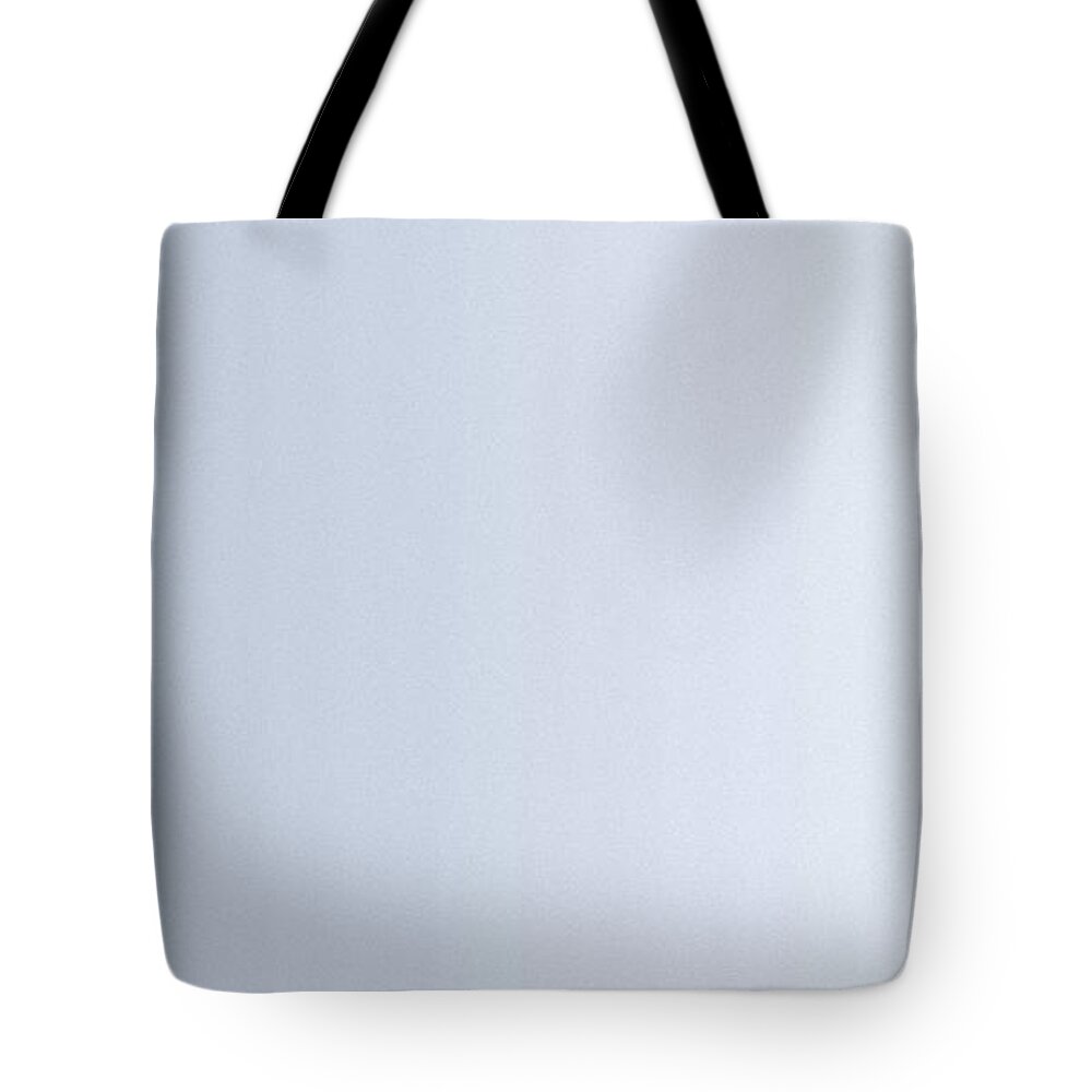 Vertical Tote Bag featuring the digital art Vertical Grey by Matteo TOTARO