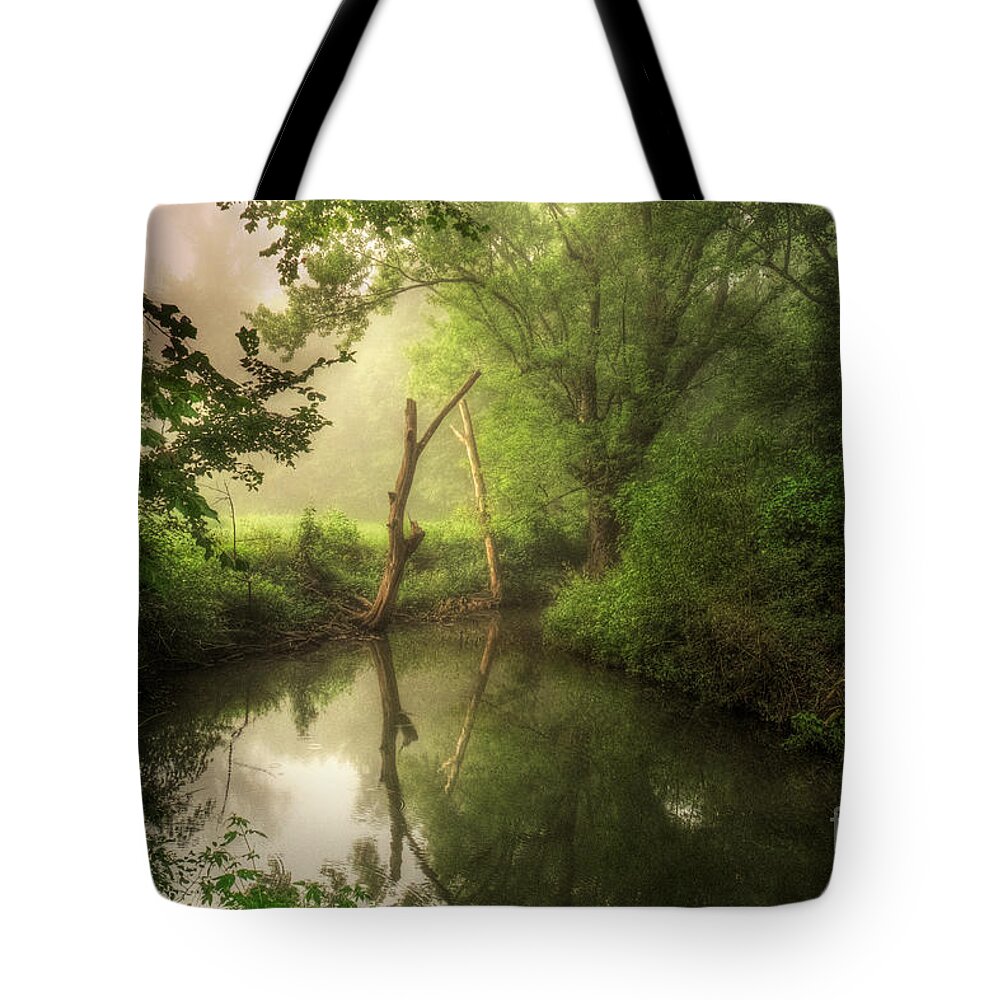 Veterans Of Ancient Storms Tote Bag featuring the photograph Veterans of Ancient Storms by William Fields