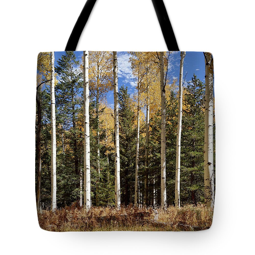 Aspen Trees Tote Bag featuring the photograph Vibrancy of Autumn II by Leda Robertson