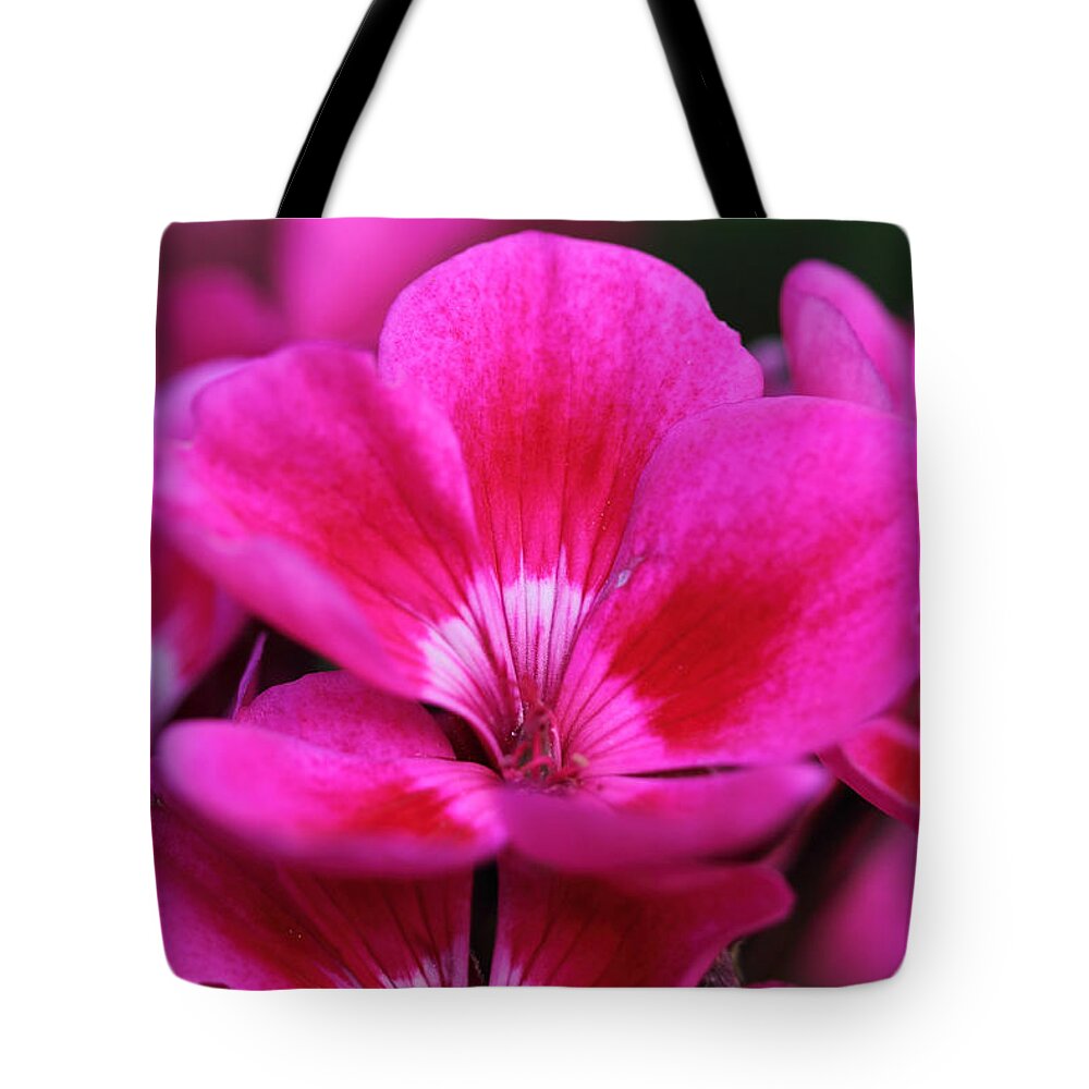 Pink Flowers Tote Bag featuring the photograph Vibrant Pink Flowers by Angela Murdock